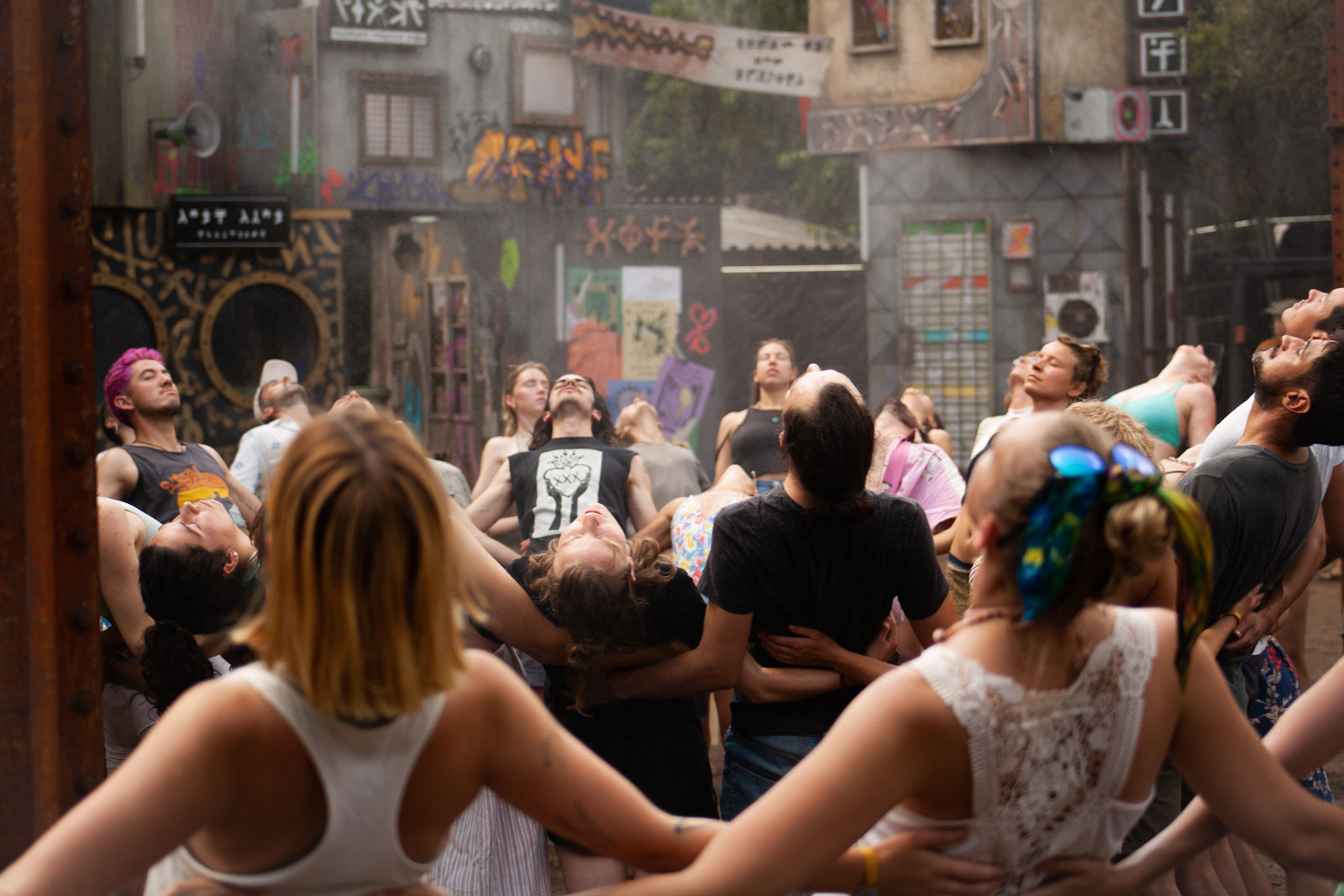 wilde-moehre-2 wilde-moehre-2