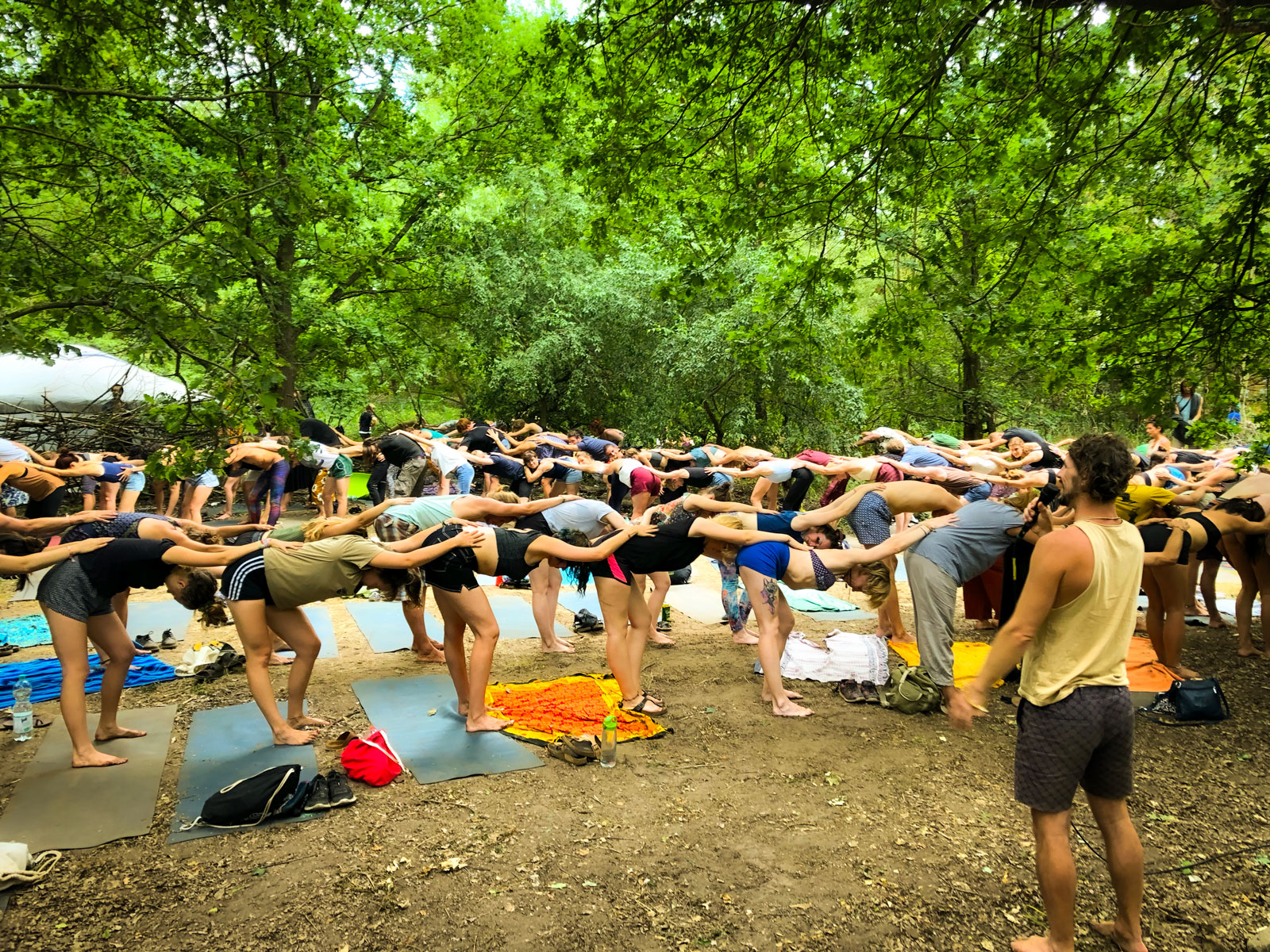 wilde-moehre-3 wilde-moehre-3