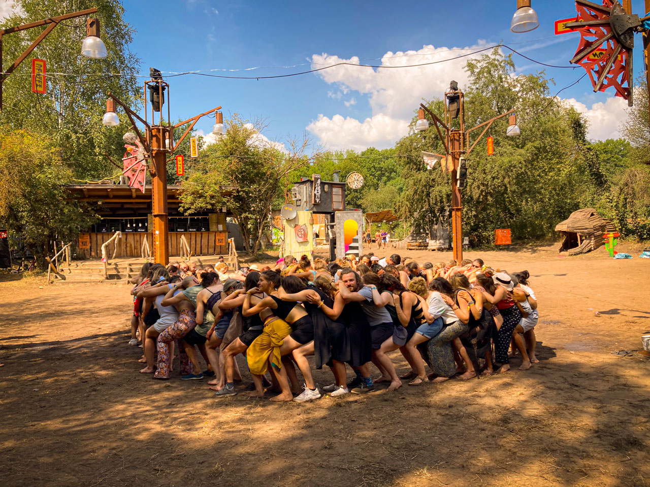 wilde-moehre-4 wilde-moehre-4