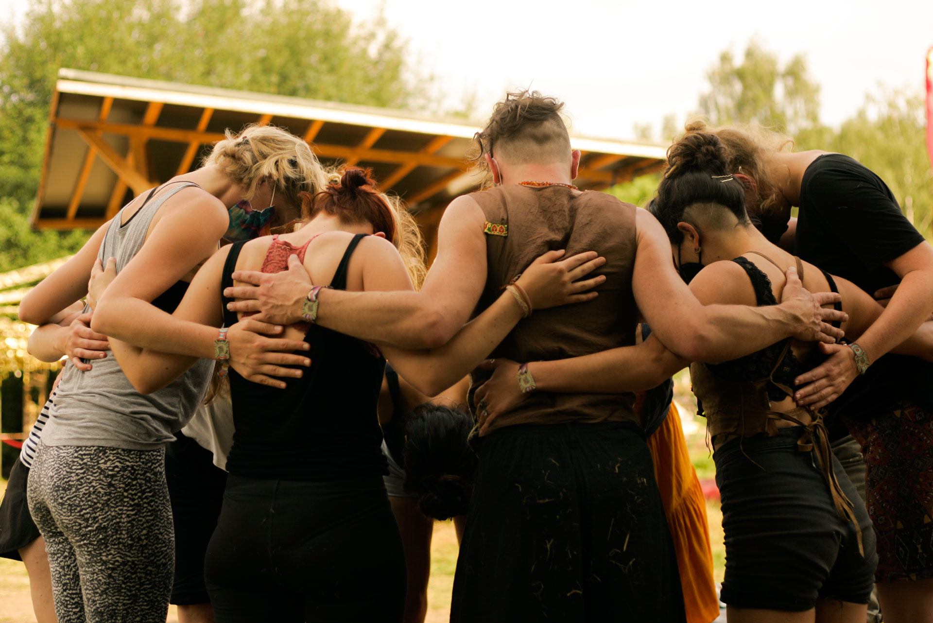 wilde-moehre-6 wilde-moehre-6