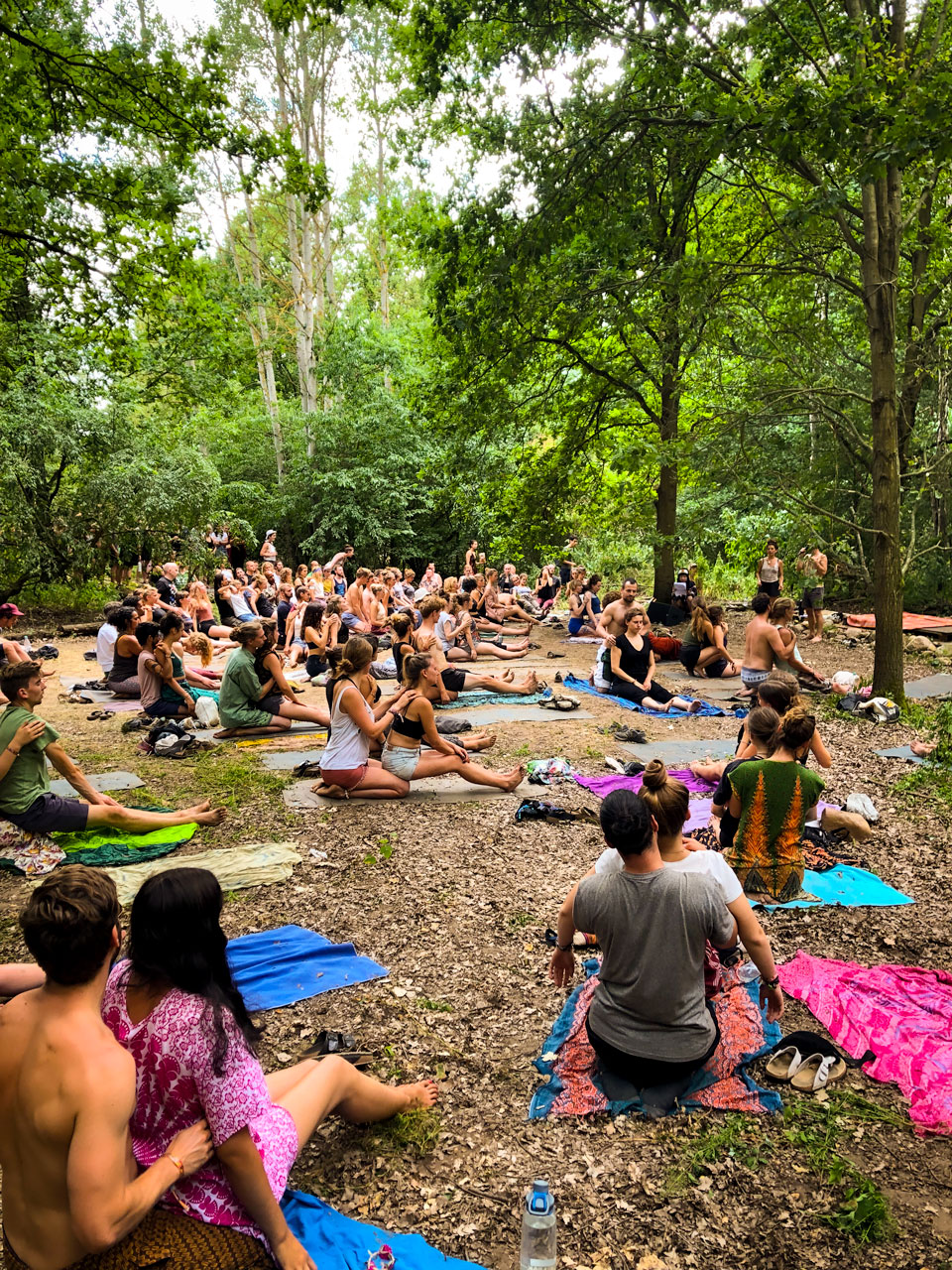 wilde-moehre-7 wilde-moehre-7